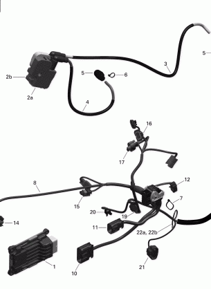 10- Engine Harness and Electronic Module - 1000 EFI (Package PRO-MAX PRO)