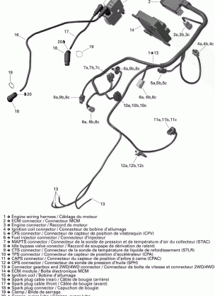 10- Engine Harness Outlander 800EFI