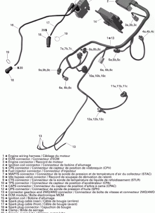 10- Engine Harness