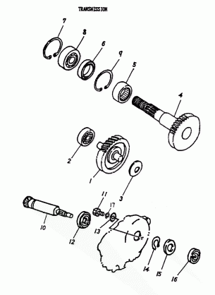 05- Transmission