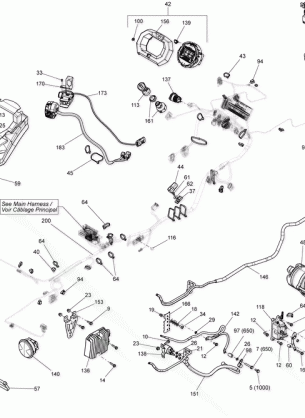 10- Electrical System _20T1529