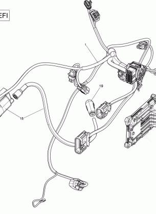 10- Engine Harness and Electronic Module - 450 EFI