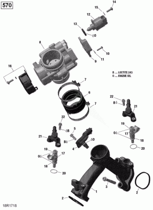 02- Air Intake Manifold and Throttle Body - 570 EFI