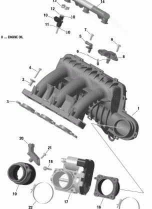 02- Air Intake Manifold And Throttle Body