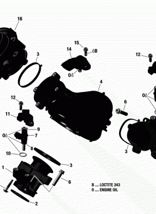 02- Air Intake Manifold And Throttle Body