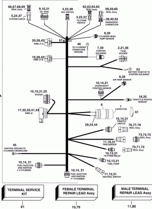 ENGINE ELECTRICAL HARNESS