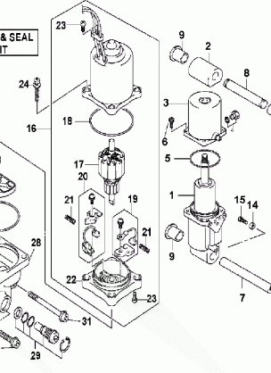 POWER TRIM / TILT HYDRAULIC