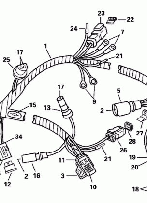 MOTOR HARNESS