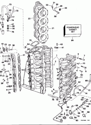 CYLINDER & CRANKCASE