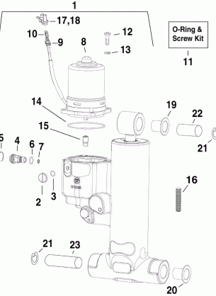 TRIM & TILT HYDRAULIC ASSEMBLY 20 in Models