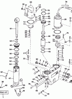 POWER TRIM / TILT HYDRAULIC ASSEMBLY