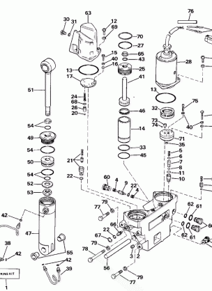 POWER TRIM / TILT HYDRAULIC ASSEMBLY