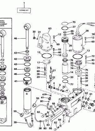 POWER TRIM / TILT HYDRAULIC ASSEMBLY