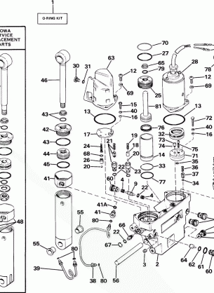 POWER TRIM / TILT HYDRAULIC ASSEMBLY