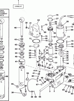 POWER TRIM / TILT HYDRAULIC ASSEMBLY