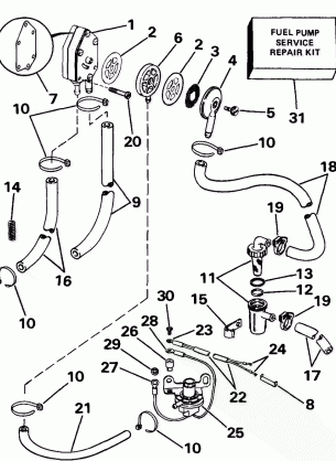 FUEL PUMP & FILTER - WMLP & WMYP MODELS ONLY