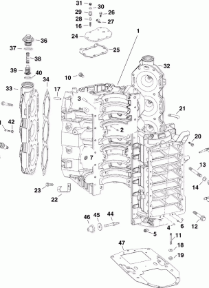 CYLINDER & CRANKCASE