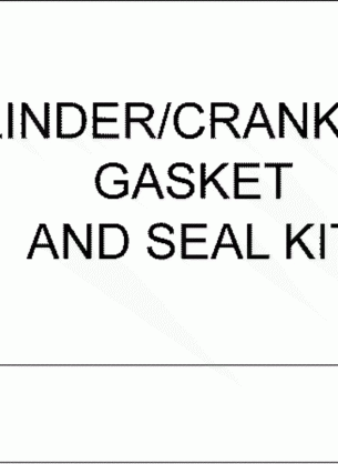 CYLINDER & CRANKCASE GASKET & SEAL KIT