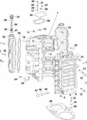 CYLINDER & CRANKCASE