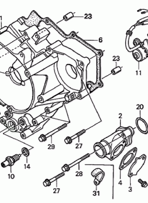 REAR CRANKCASE COVER