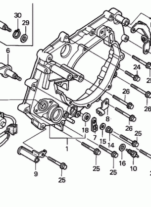 REAR CRANKCASE COVER