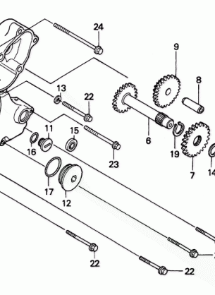 LEFT CRANKCASE COVER (1)