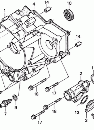 REAR CRANKCASE COVER