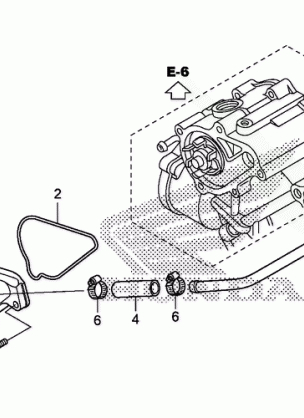 WATER PUMP COVER