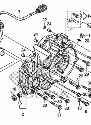 REAR CRANKCASE COVER