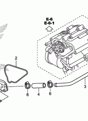 WATER PUMP COVER