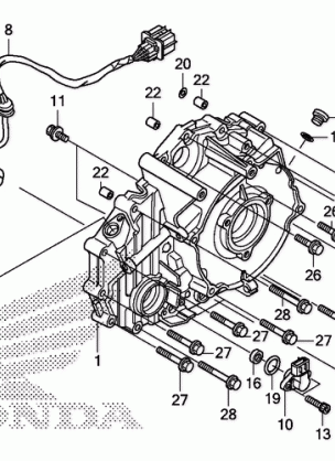 REAR CRANKCASE COVER