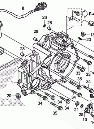 REAR CRANKCASE COVER