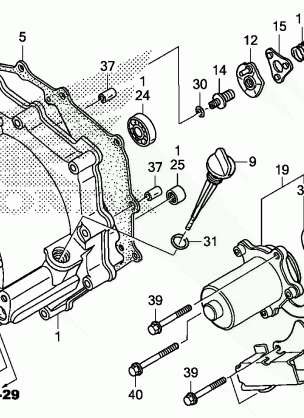 FRONT CRANKCASE COVER    (TRX250TE)