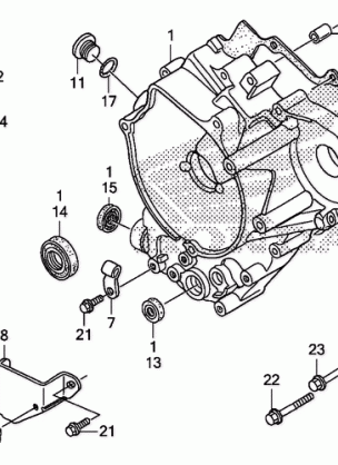 REAR CRANKCASE COVER