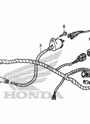 WIRE HARNESS (1)