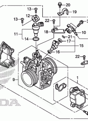 THROTTLE BODY