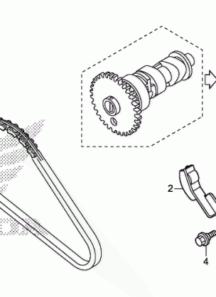 CAM CHAIN@TENSIONER