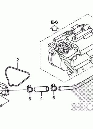 WATER PUMP COVER