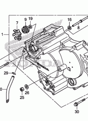 FRONT CRANKCASE COVER