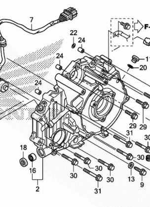 REAR CRANKCASE COVER