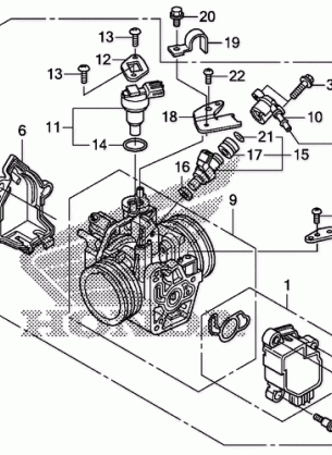 THROTTLE BODY