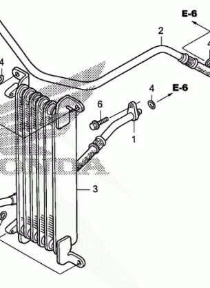 OIL COOLER