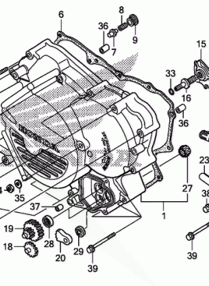 FRONT CRANKCASE COVER    (TRX500FE / FPE)