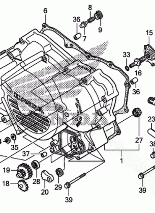 FRONT CRANKCASE COVER    (TRX500FE / FPE)