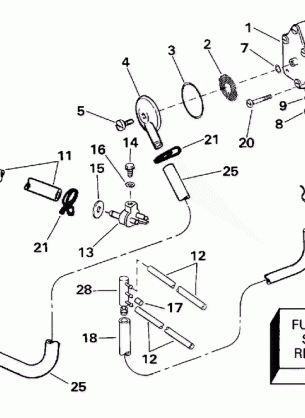 FUEL PUMP & FILTER