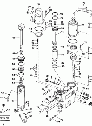 POWER TRIM / TILT HYDRAULIC ASSEMBLY