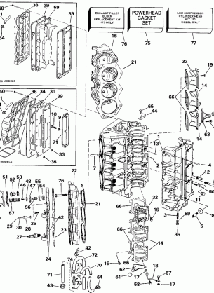 CYLINDER & CRANKCASE