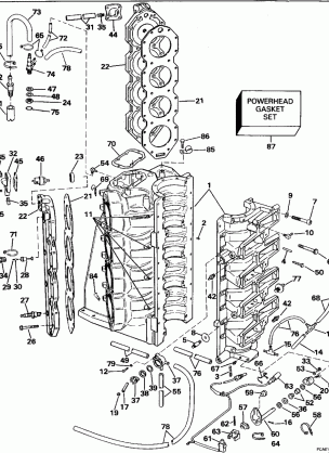 CYLINDER & CRANKCASE