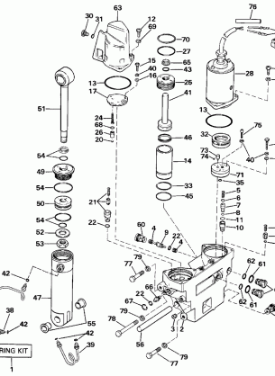 POWER TRIM / TILT HYDRAULIC ASSEMBLY