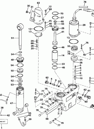 POWER TRIM / TILT HYDRAULIC ASSEMBLY